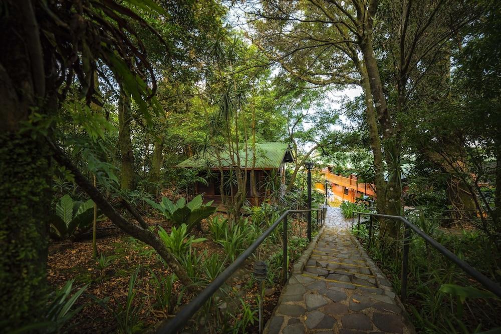 Hotel Heliconia - Monteverde Exteriér fotografie